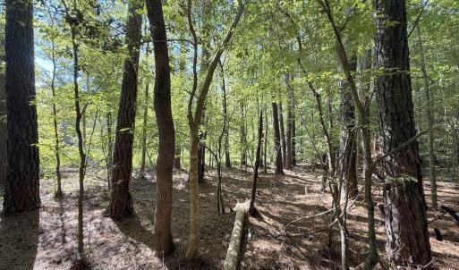 Photo #22 of 1012 Halifax, Rocky Mount, NC 20.0 acres