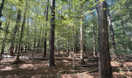 Photo #8 of 1012 Halifax, Rocky Mount, NC 20.0 acres