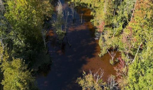 Photo #15 of 1012 Halifax, Rocky Mount, NC 20.0 acres