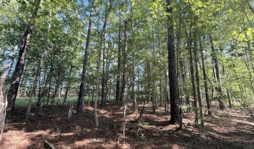 Photo #24 of 1012 Halifax, Rocky Mount, NC 20.0 acres