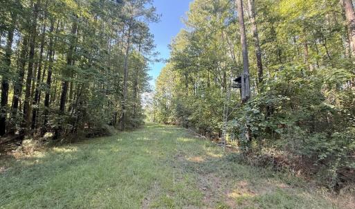 Photo #30 of 1012 Halifax, Rocky Mount, NC 20.0 acres
