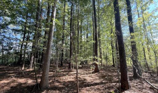 Photo #4 of 1012 Halifax, Rocky Mount, NC 20.0 acres