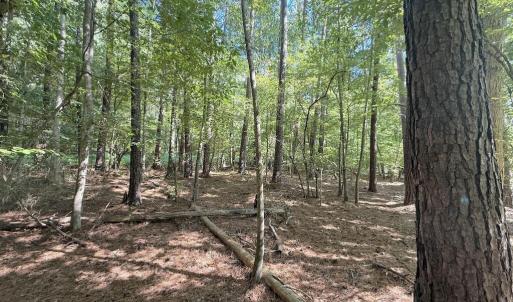 Photo #23 of 1012 Halifax, Rocky Mount, NC 20.0 acres