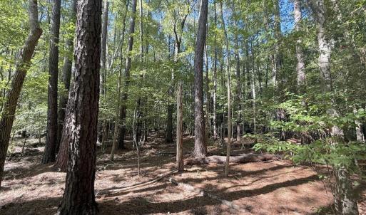 Photo #13 of 1012 Halifax, Rocky Mount, NC 20.0 acres