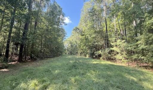 Photo #32 of 1012 Halifax, Rocky Mount, NC 20.0 acres