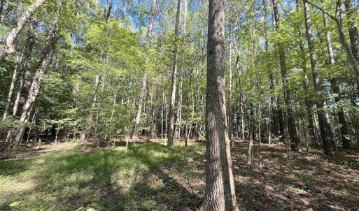Photo #25 of 1012 Halifax, Rocky Mount, NC 20.0 acres