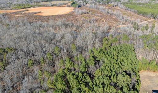 12-DJI_20260211151008