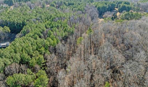 17-DJI_20260211151114