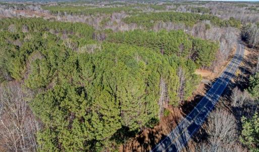 19-DJI_20260211151205