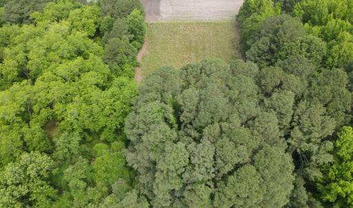 DJI_0373