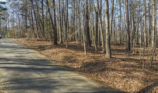 12-web-or-mls-DJI_0097