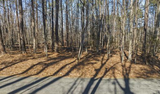 11-web-or-mls-DJI_0096