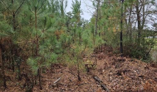 28 Acre 7