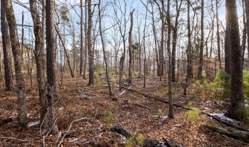 10-web-or-mls-P1102707