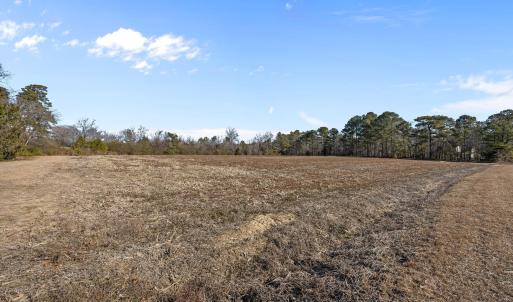 13-web-or-mls-IMG_2478