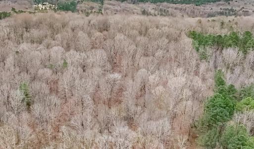 11-022-2310BowersStoreRd-Tract-02-202601