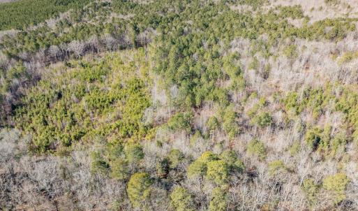 004-3412MoncurePittsboroRd-Chatham-Parce