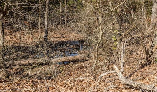 017-3412MoncurePittsboroRd-Chatham-Parce