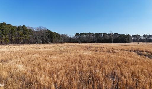 dji_fly_20260206_112542_0238_17703957938