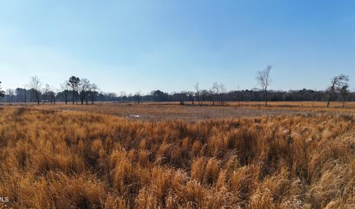 dji_fly_20260206_112642_0241_17703957891