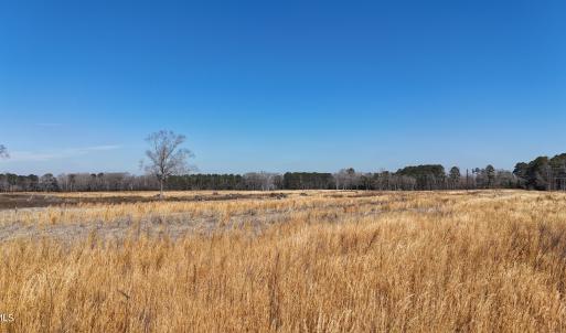 dji_fly_20260206_113318_0258_17703957591