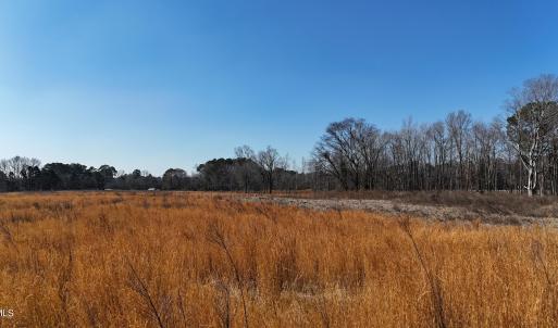 dji_fly_20260206_113328_0259_17703957581