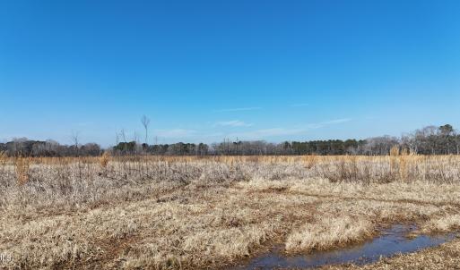 dji_fly_20260206_113438_0261_17703957563