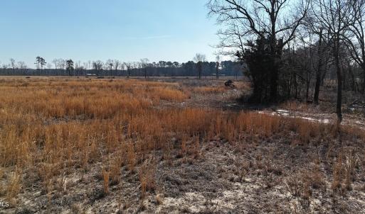 dji_fly_20260206_112504_0234_17703957992