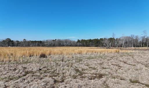 dji_fly_20260206_113102_0250_17703957723