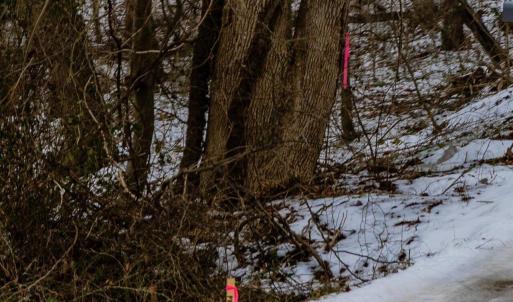 36-036-Chatham-Parcel-69397-JonesFerryRd