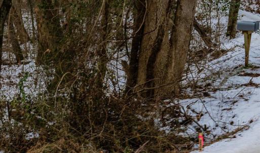 37-037-Chatham-Parcel-69397-JonesFerryRd