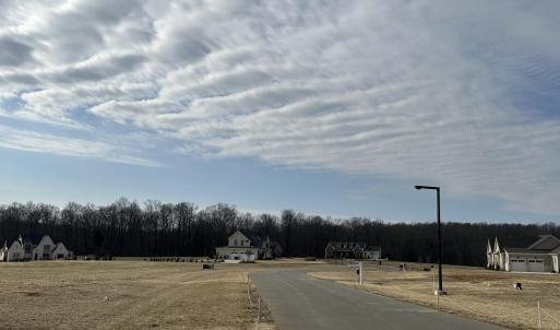 The Meadow Street View