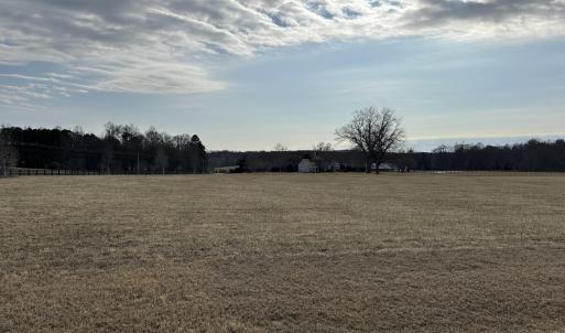 View Across the Meadow