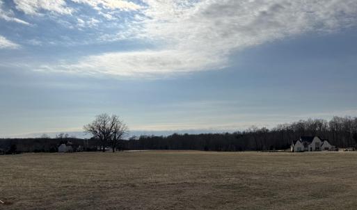 View Across The Meadow