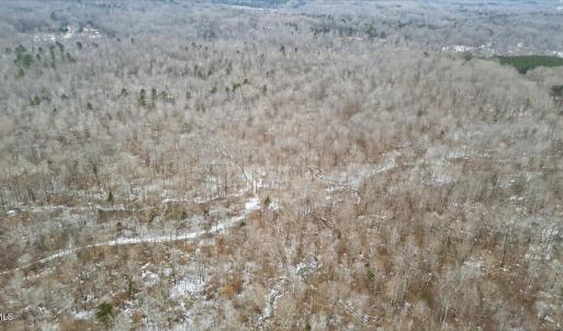 05-DJI_20260205131254_0609_D