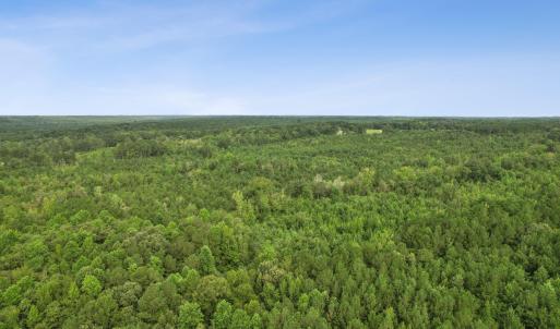 7-print-DJI_0042