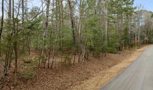 10-web-or-mls-DJI_0998