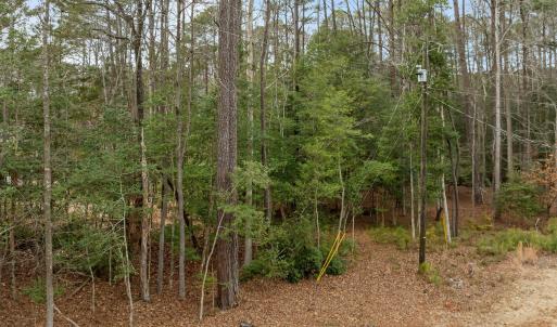 11-web-or-mls-DJI_0999