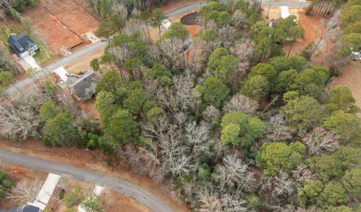 3-web-or-mls-DJI_0989