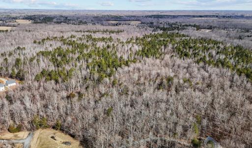 11-web-or-mls-DJI_20250217105850_0032_D