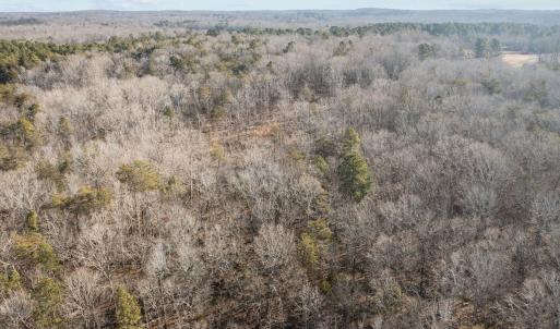 12-web-or-mls-DJI_0233