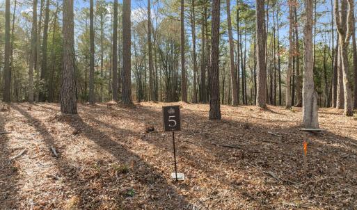 7-web-or-mls-DJI_0955