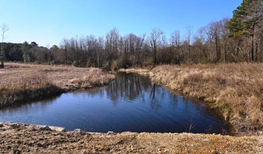 Creek from Culvert Portrait