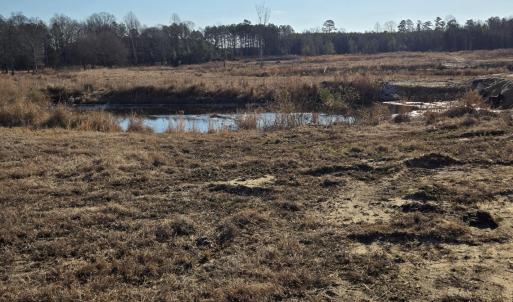 Cleared field Creek Landscape
