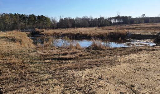 West Buies Creek Portrait