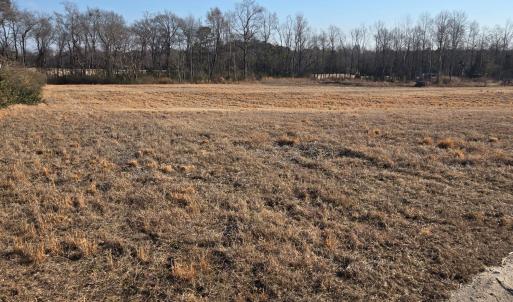 Front field Landscape