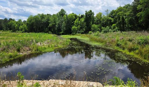 Buis creek 1