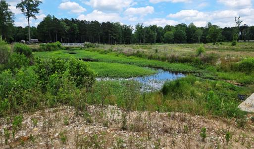 Buis creek and bridge