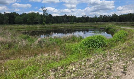 Buis creek and culvert