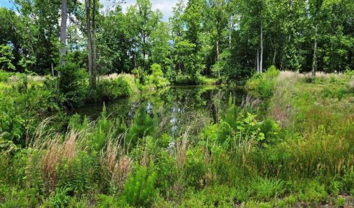 First Pond